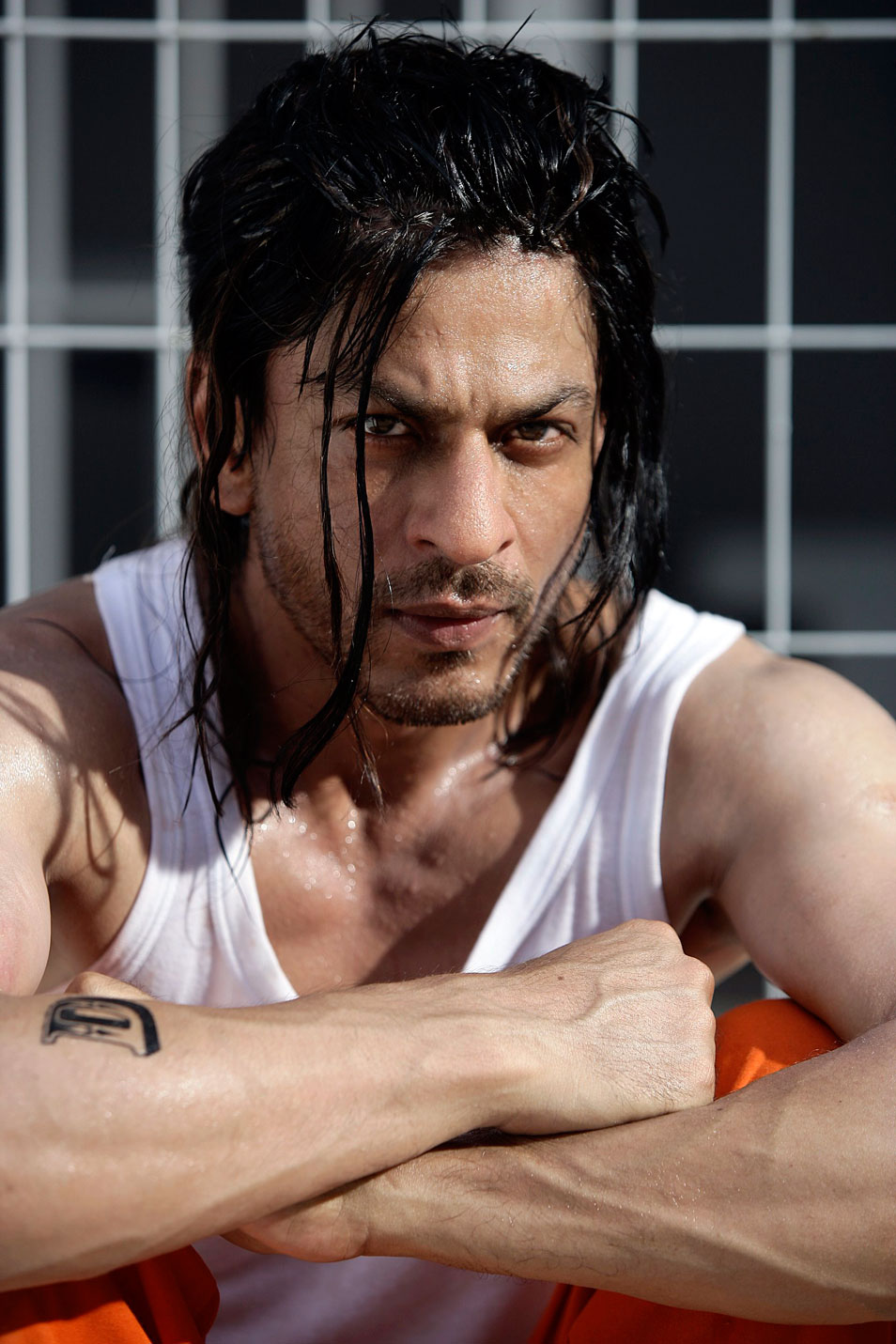 Don 2 movie pictures | Picture 45871